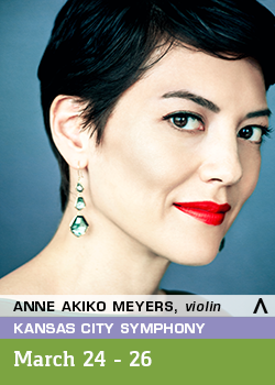 anne akiko meyers flyer