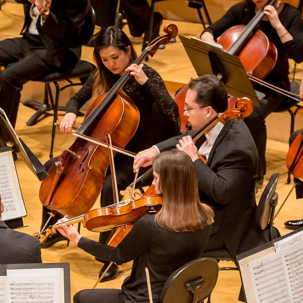 orchestra string performers