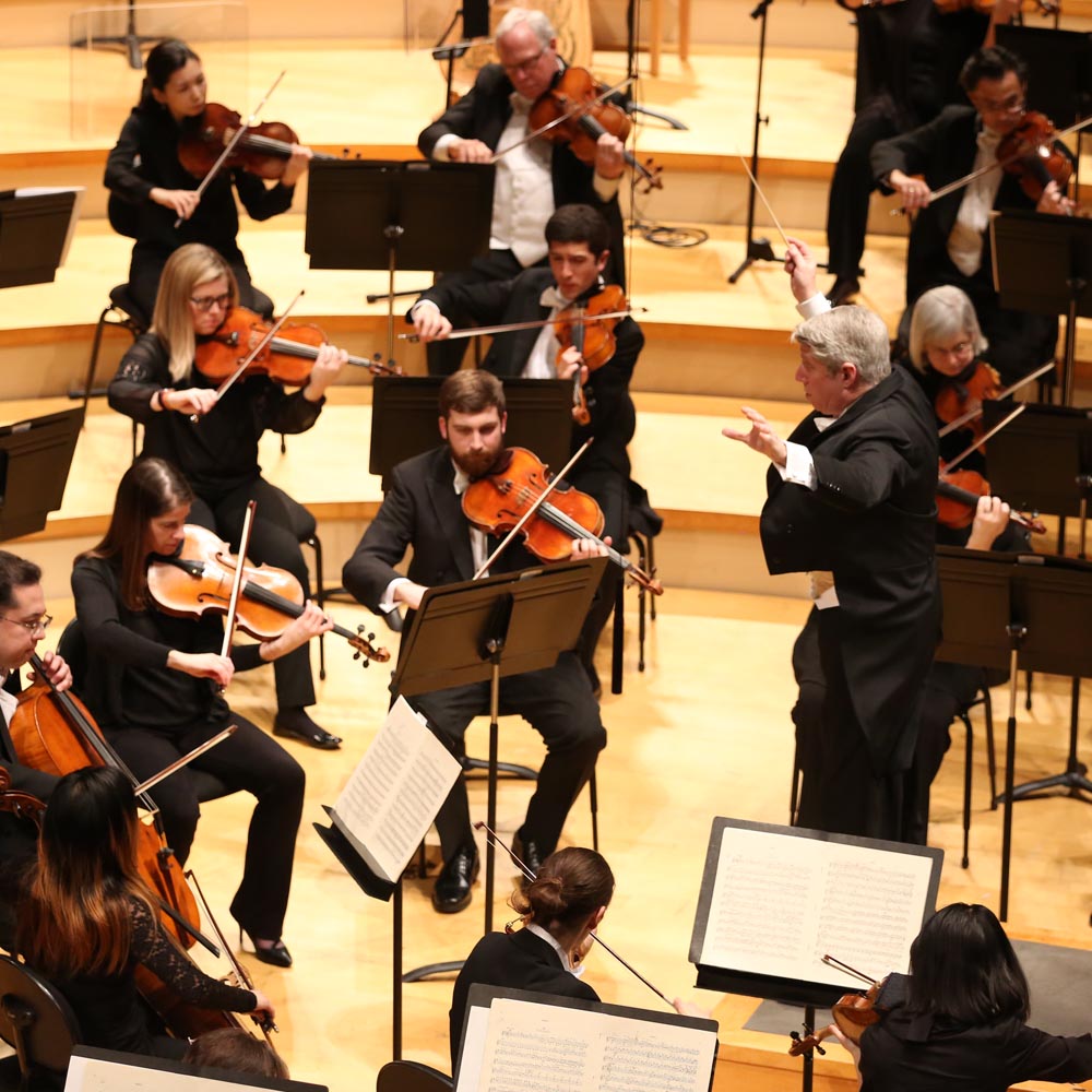 violinists in orchestra