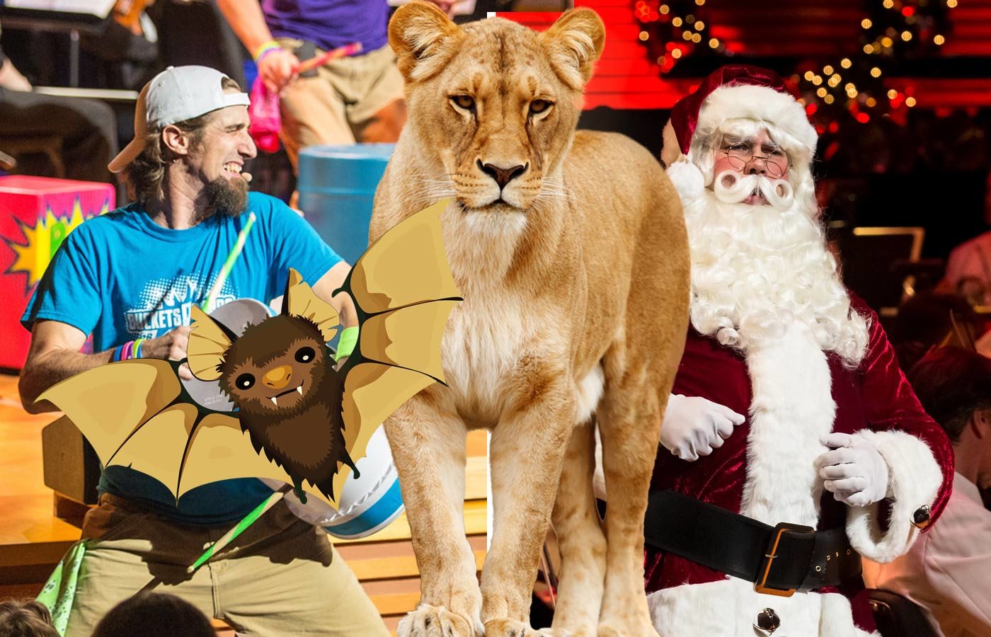 Photo collage of Bucket N Boards, a bat, lion and Santa Claus